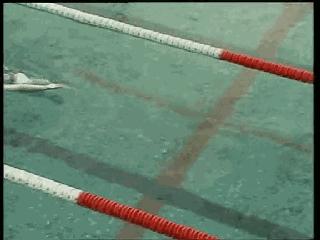 仰泳换自由泳的切换分解动作图解,混合泳仰泳后滚翻动作要领