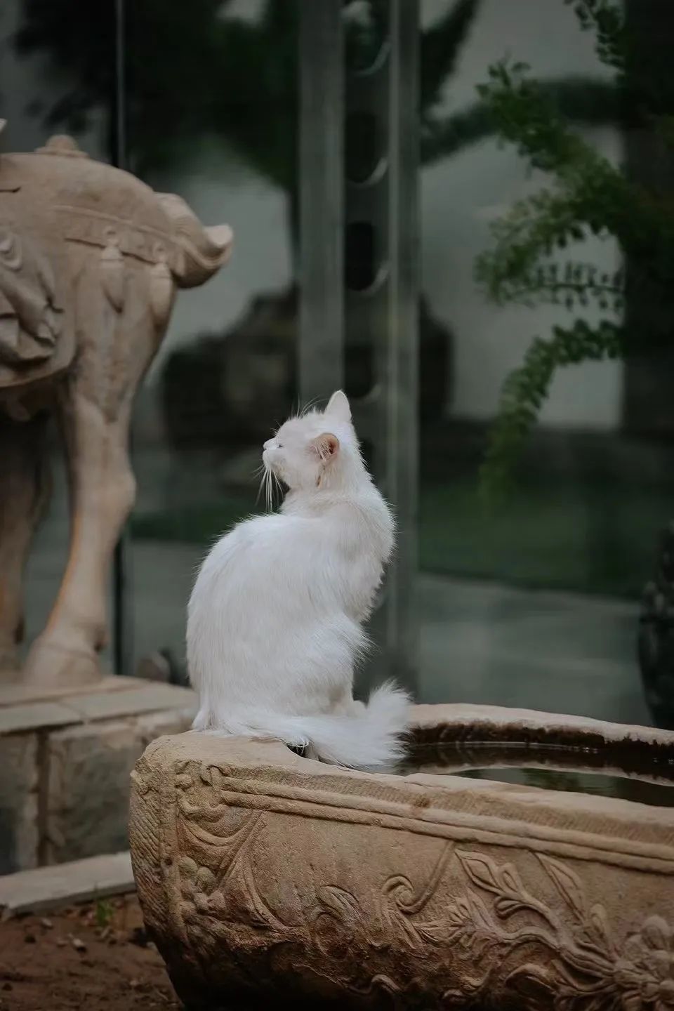 赵明明：上班摸鱼，是我的梦想!