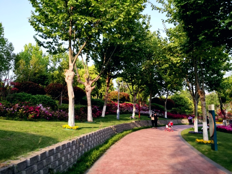 凤凰公园景色美,常州凤凰公园美篇