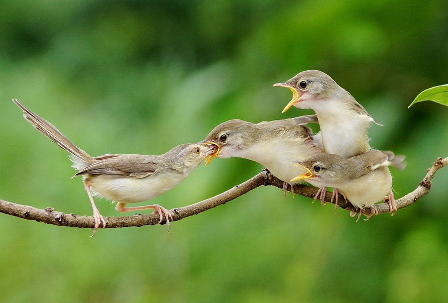 最让人痛心的亲情,缺失的亲情是无法弥补的
