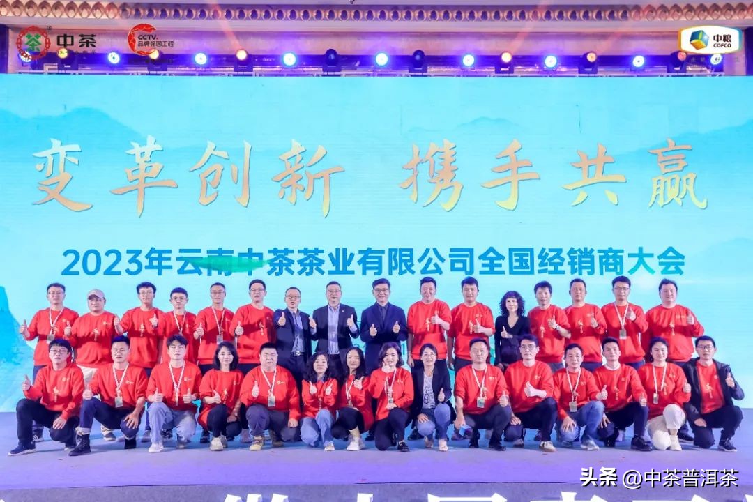 中茶普洱茶经销商信息大会,中茶2024年经销商大会