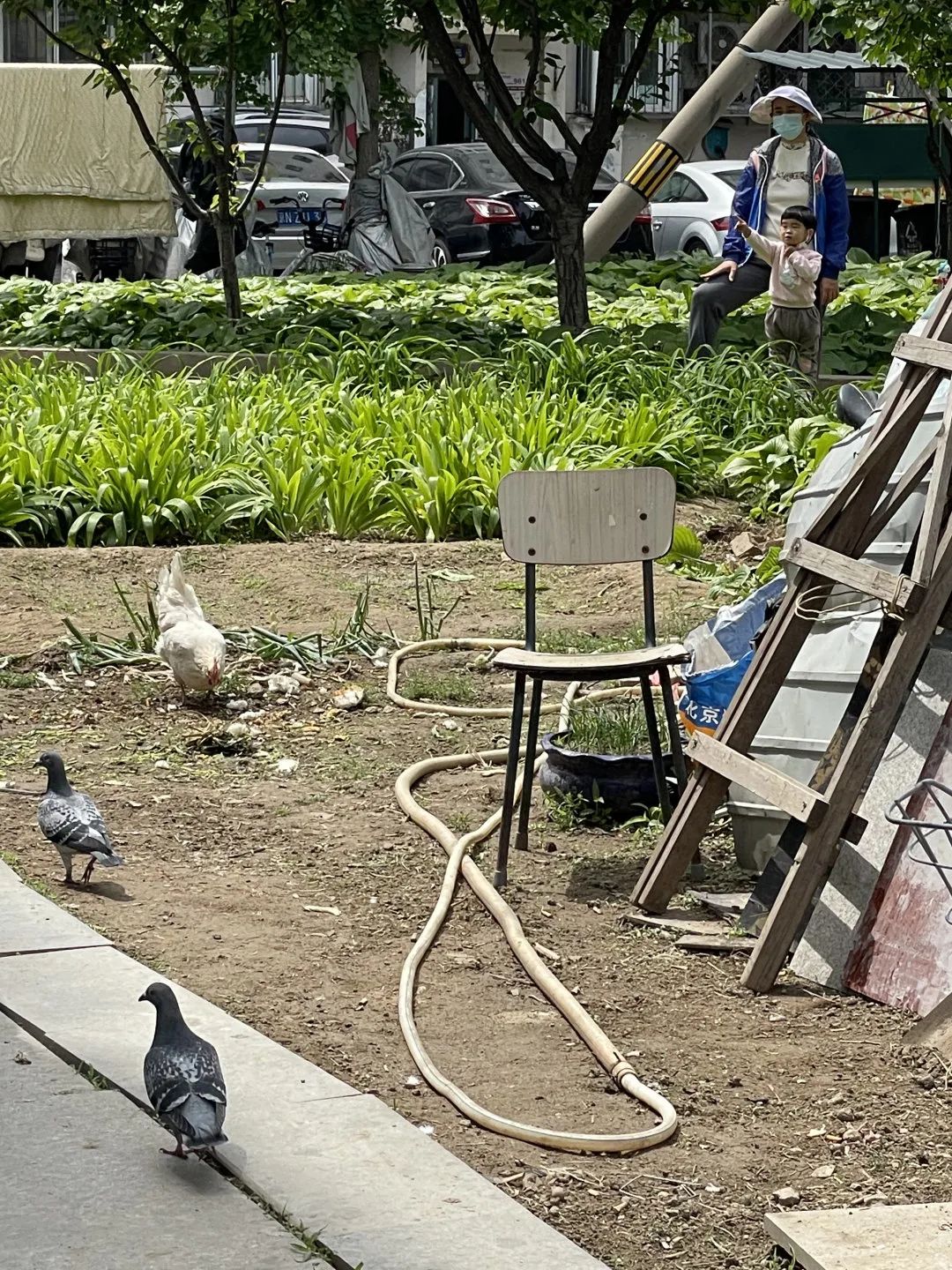 一个人住两个家？她的帝都生活，我羡慕坏了