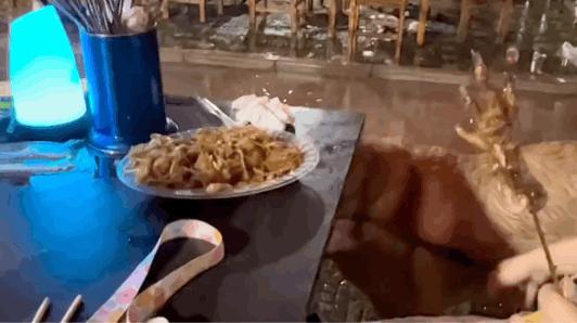 前男友突然找你尬聊,男友和异性聊的特别嗨怎么提醒