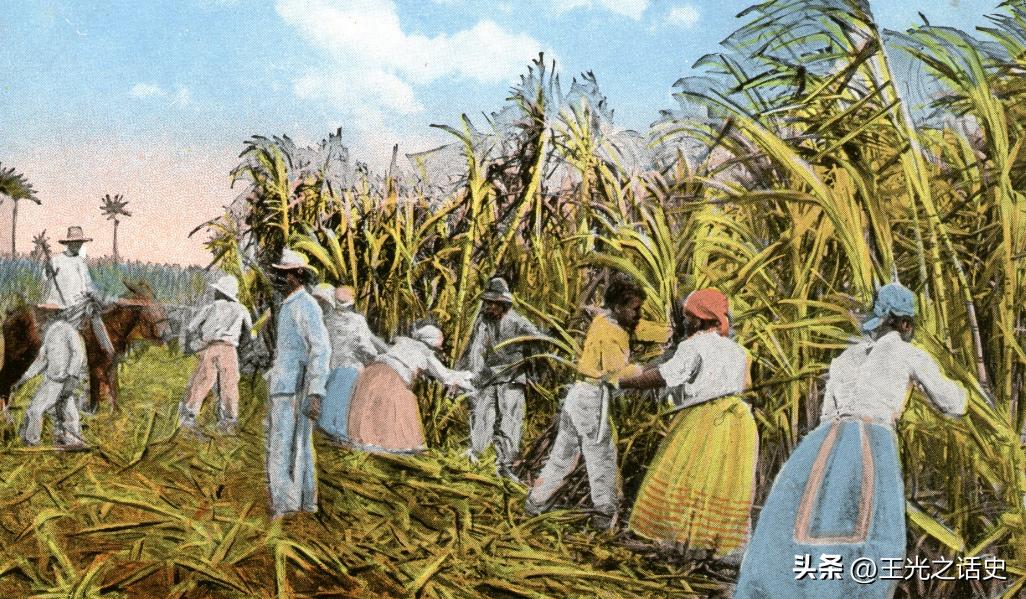 巴西踢球随心所欲,巴西除了踢球还会什么