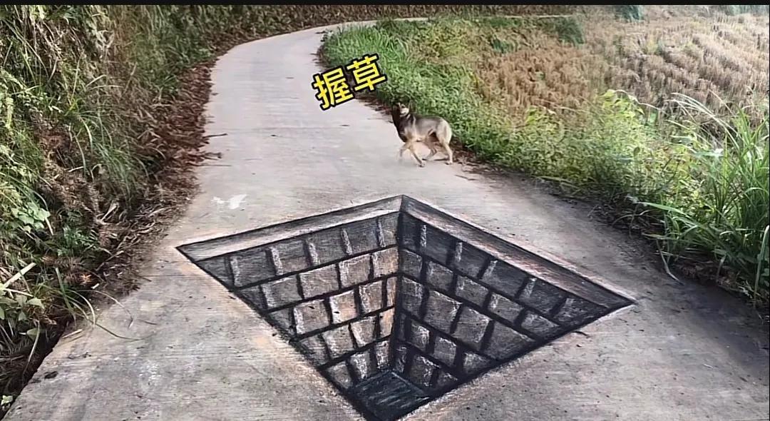 3D画让我对这个世界的真实性产生了怀疑，眼见为实未必是真的