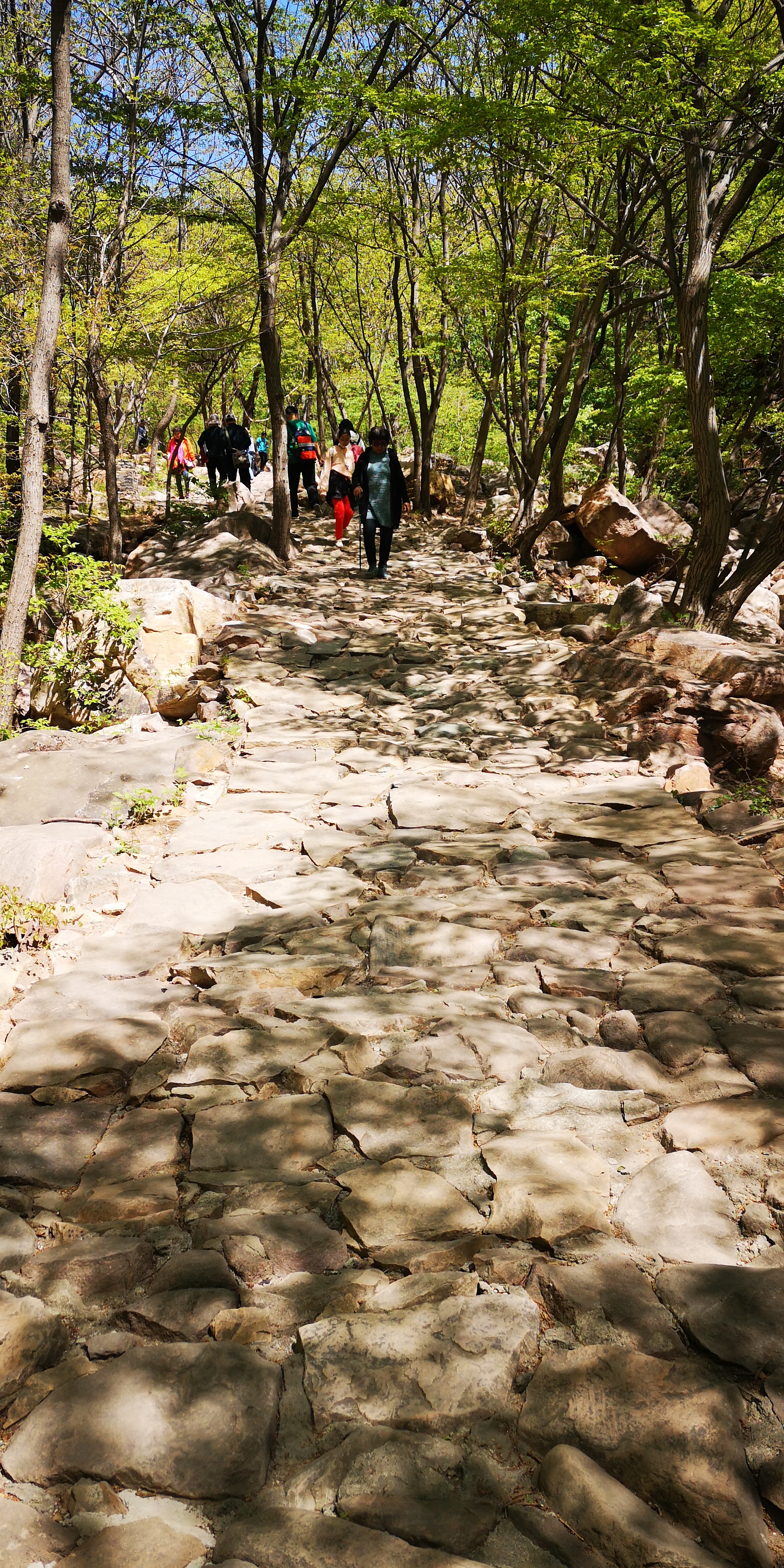 天津梨木台景区值得夏天去的地方,天津蓟县梨木台风景区路线