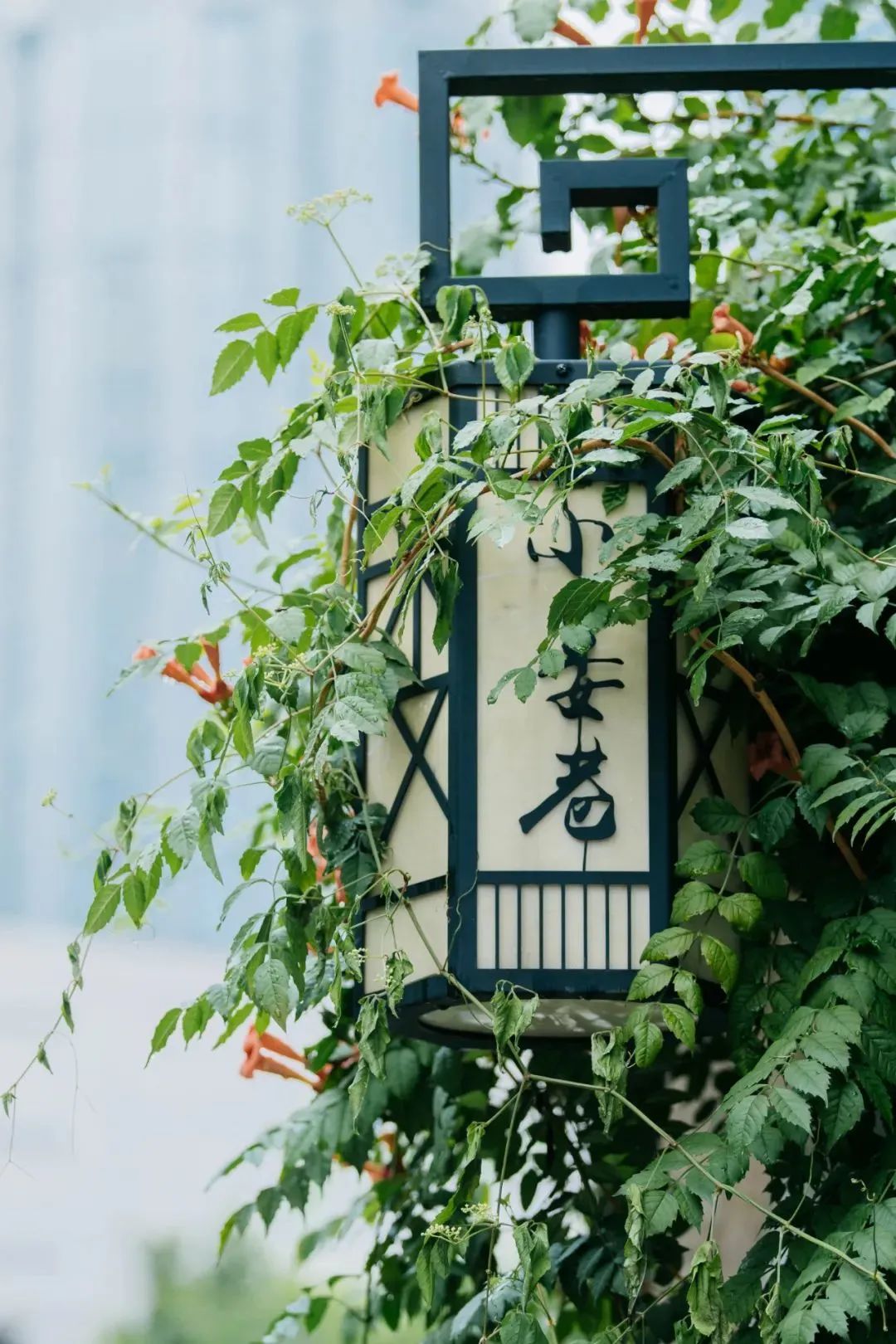 跟着梦华录游汴京,跟着梦华录学英语