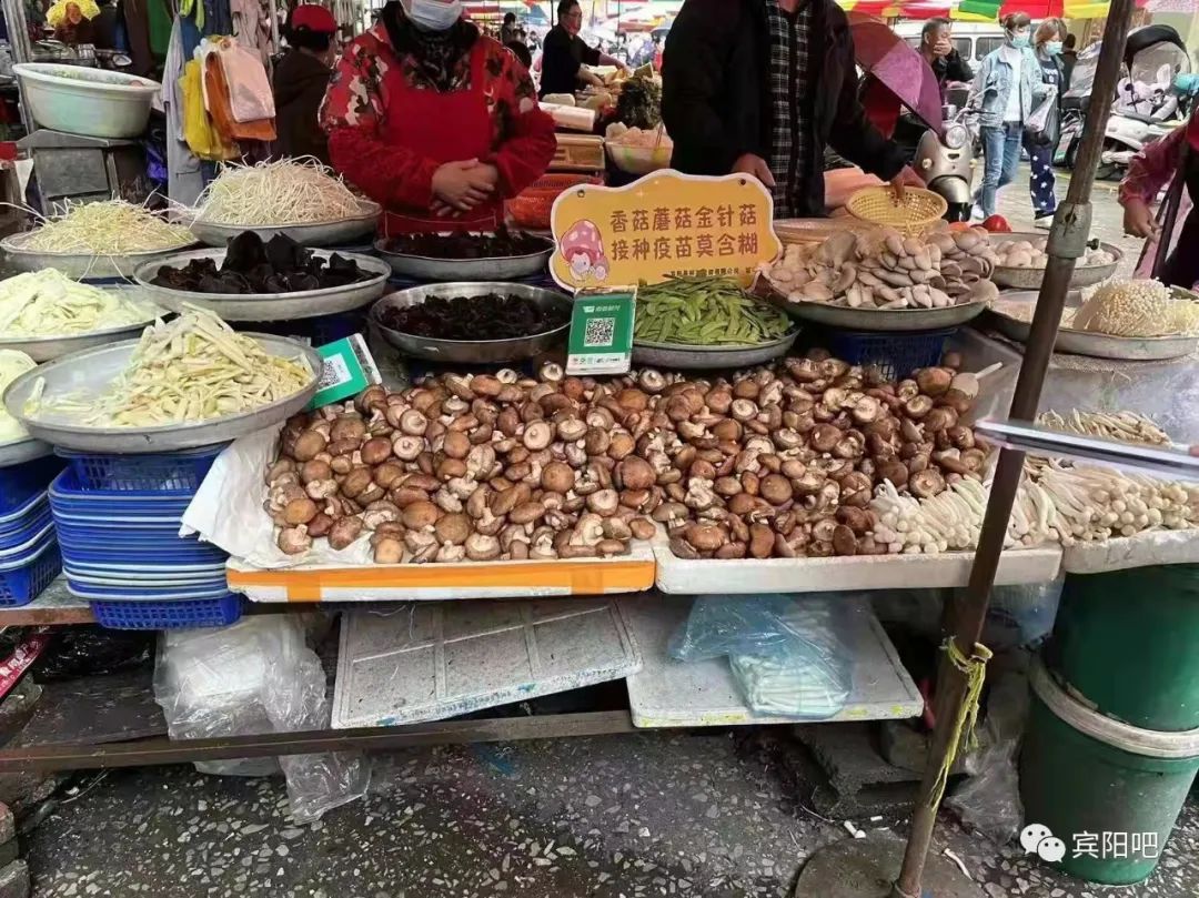 硬核防疫宣传语,硬核防疫宣传语2020年