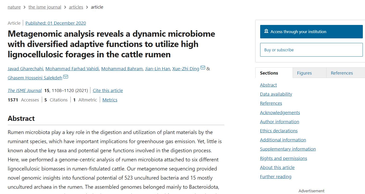 美国养殖牛为什么在牛身上开个洞,美国人养牛在牛肚子里开个大洞