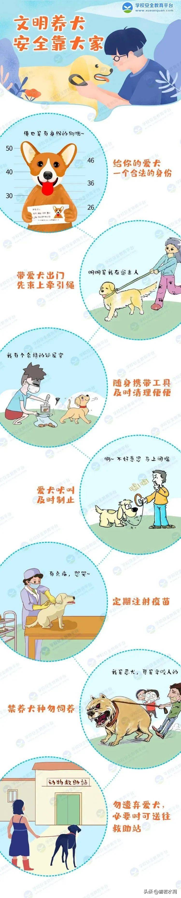 孩子被小动物咬伤后怎么处理,如果被流浪猫咬伤了怎么办