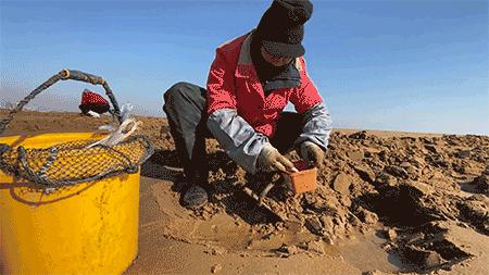 艮山门在拱宸桥北面,杭州艮山门水果市场简介