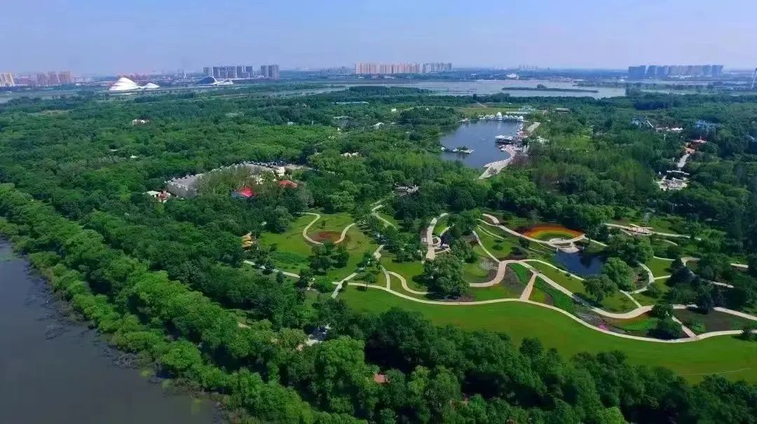 旅游避暑胜地冰城清凉之夏等你来,网友建议哈尔滨夏季避暑旅游