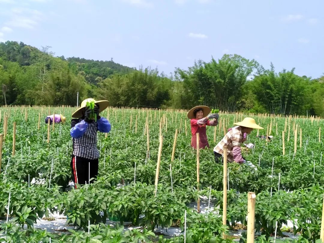 鑳介噺鍛ㄥ垔,鍏虫敞浜戞诞鏂伴椈