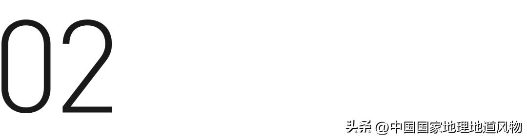 茅台酒的味道是香精调出来的吗,茅台酒的酱香是什么酱