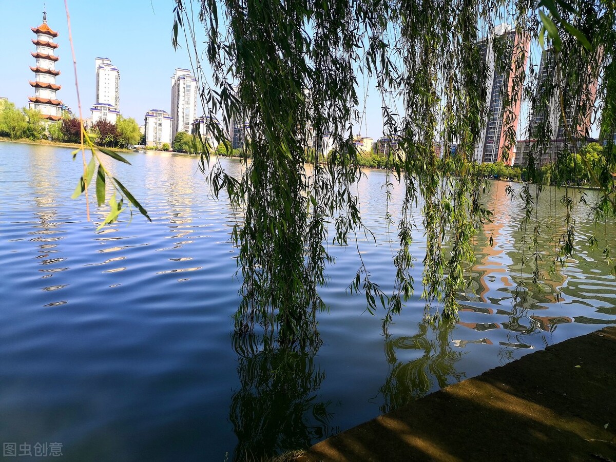 风吹杨柳万千条打一动物,风吹杨柳万千条解析