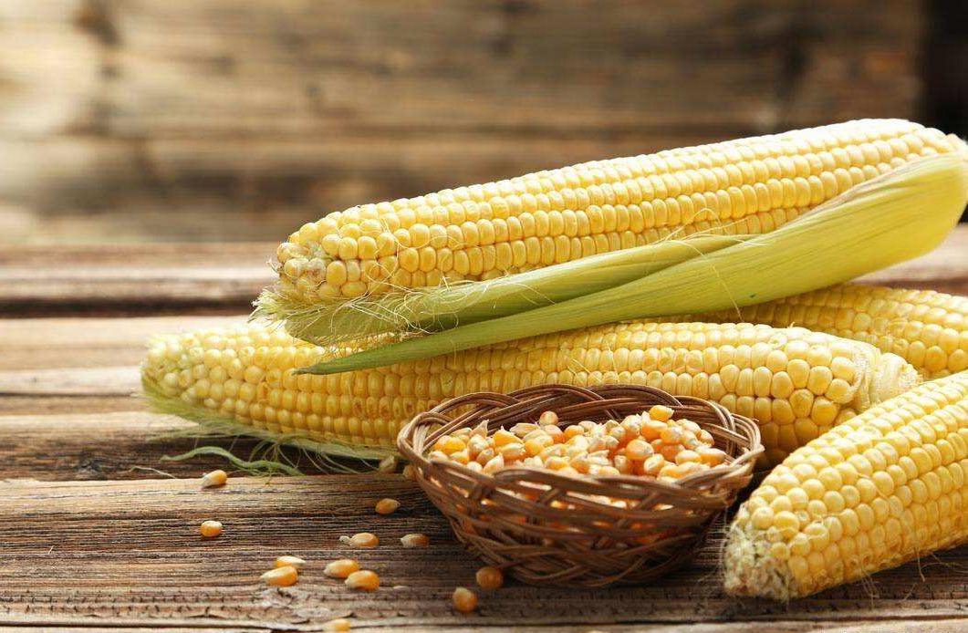 美国进口大豆多少钱一吨,今年我国进口美国大豆多少