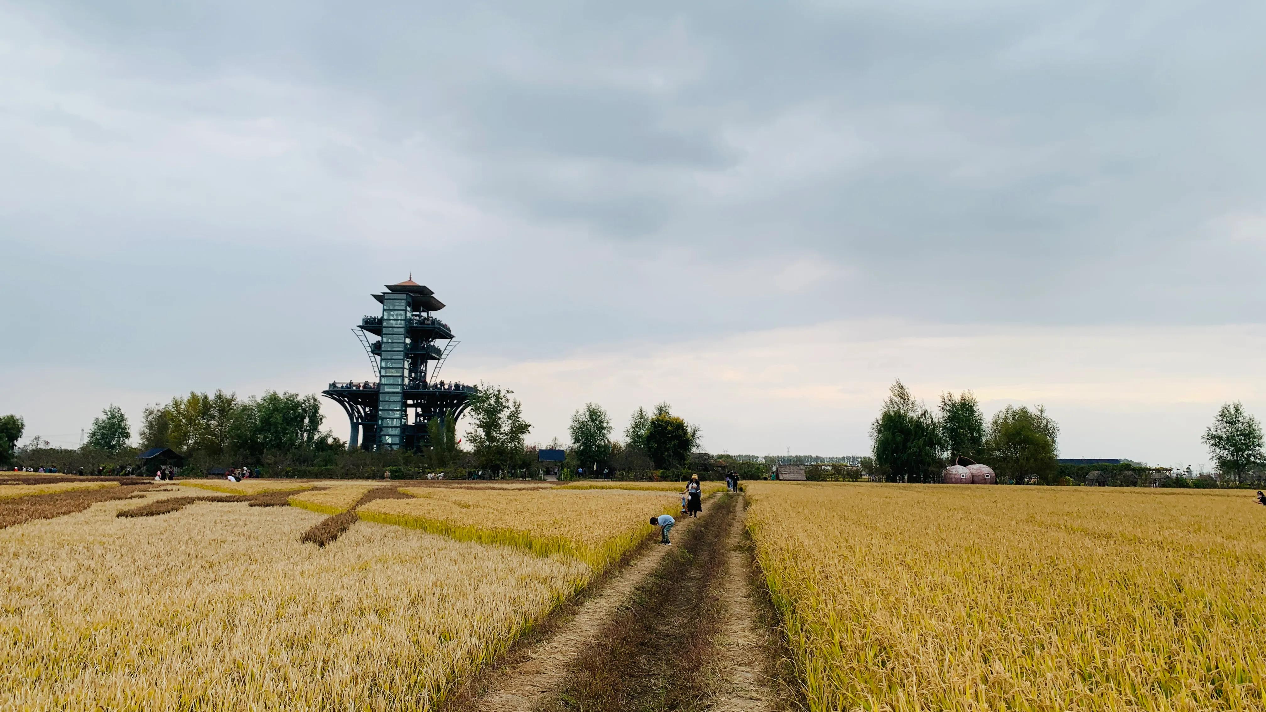 沈阳旅游景点稻梦空间,沈阳稻梦空间一日游攻略