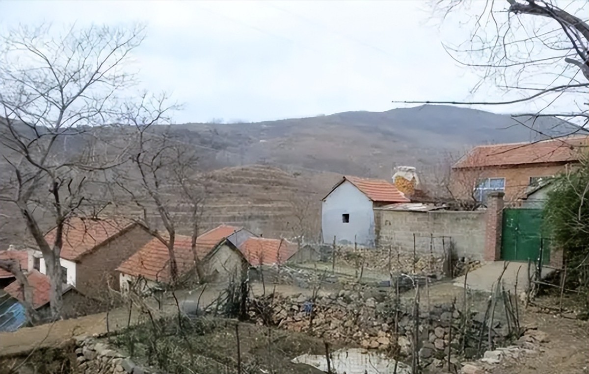 1996年，欧洲姑娘嫁山东小伙，养鸡致富，培养双胞胎女儿北影毕业