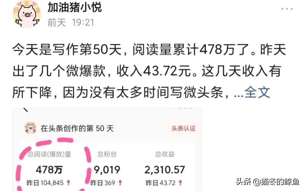 猪小悦为什么不更新了,猪小悦的头条号