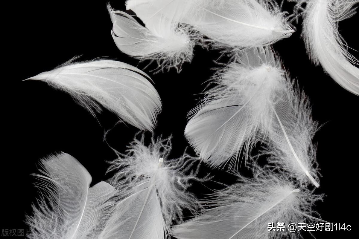 家里为啥有壁虎有啥好办法,家里有壁虎怎样彻底弄死