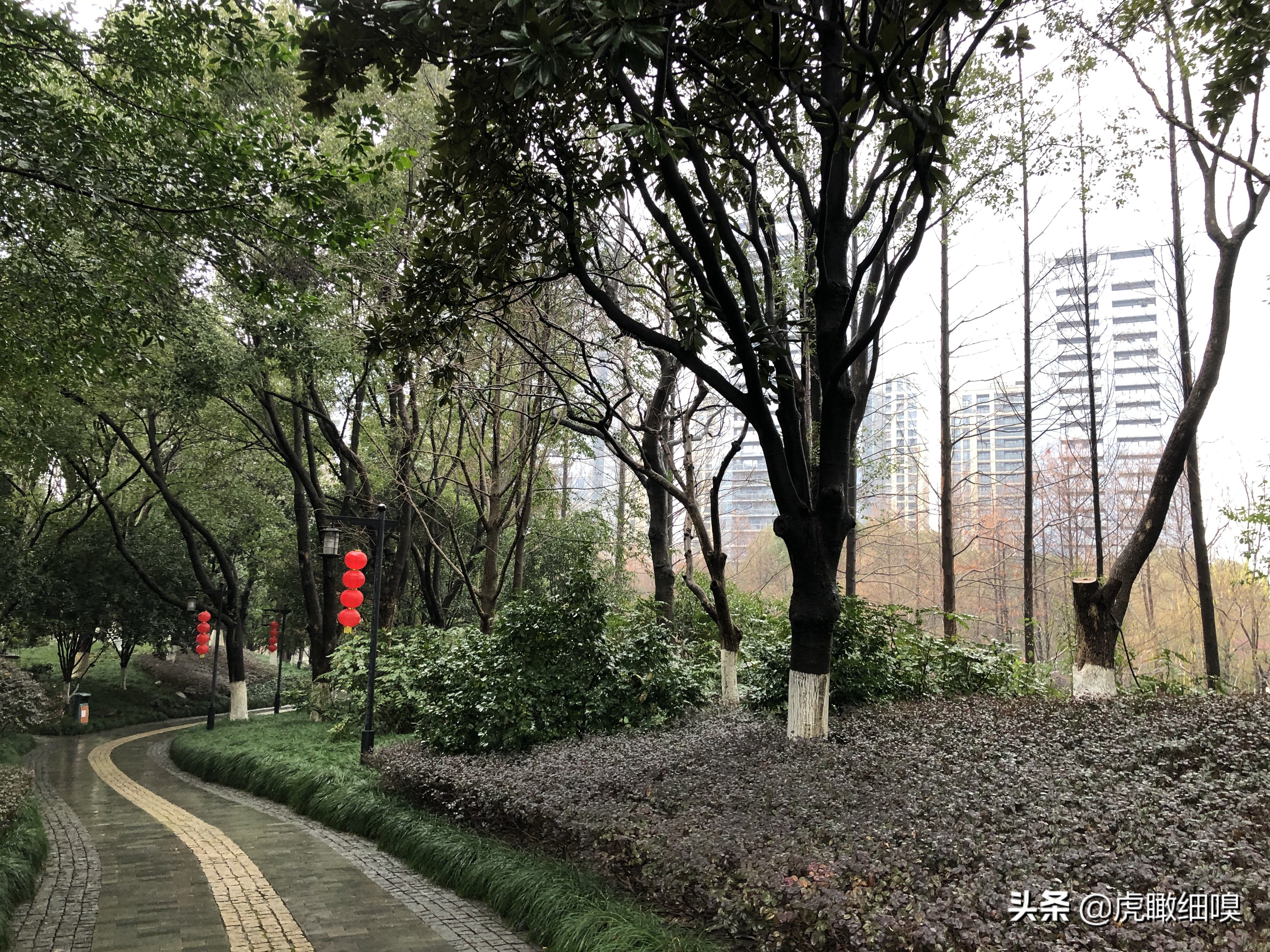 临平水景公园秋天,临平公园当地知名度最高的公园