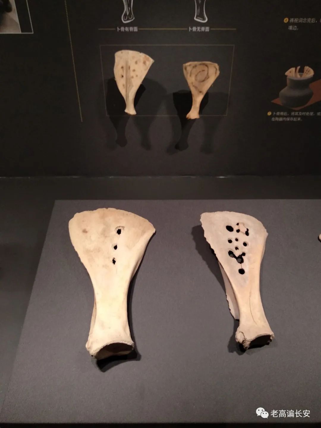 陕西考古博物馆玉器图片,陕西考古博物馆门票预约