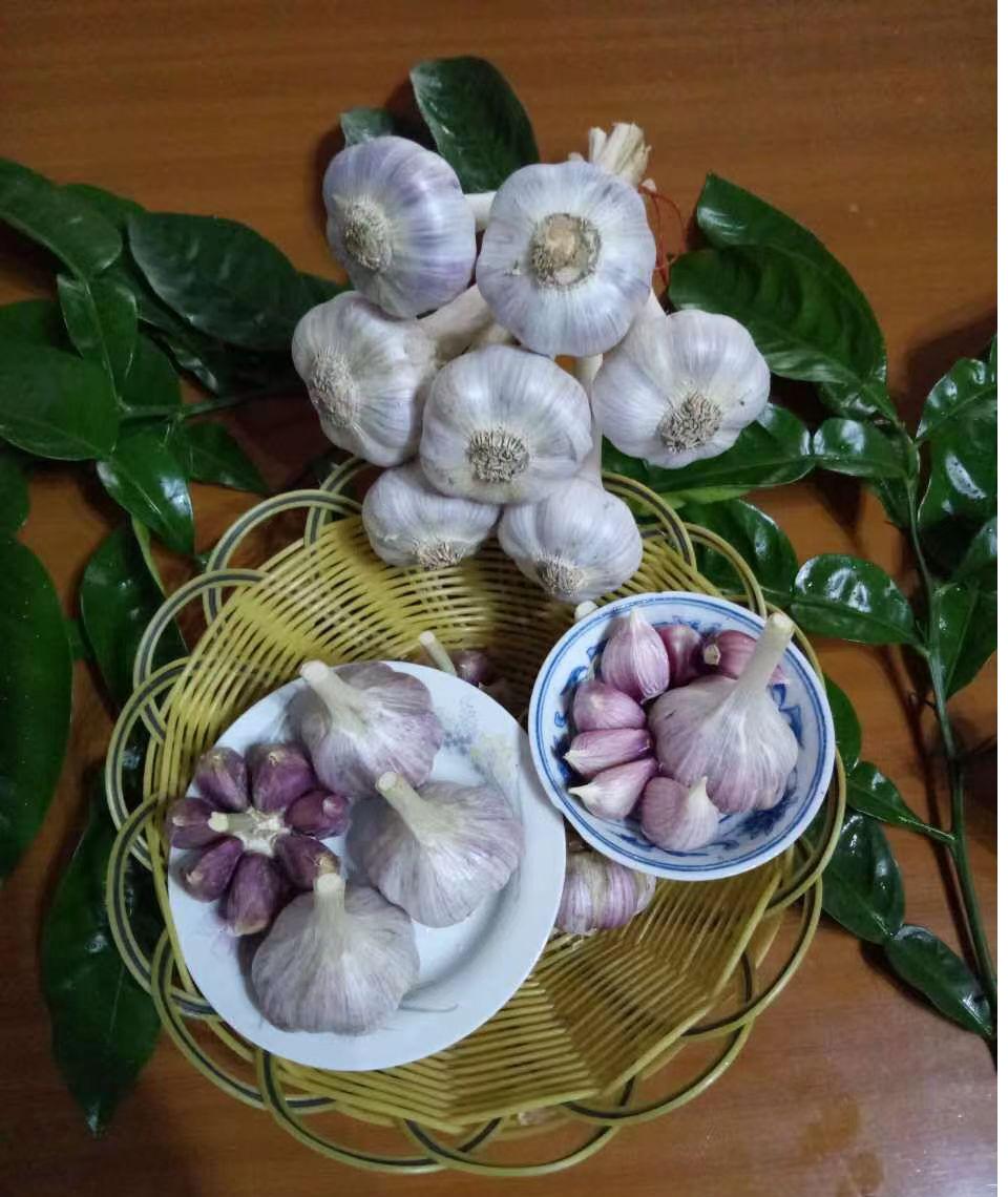 全球学子嘉游赣|中国博士县、世界台球城，一文带您游遍玉山县