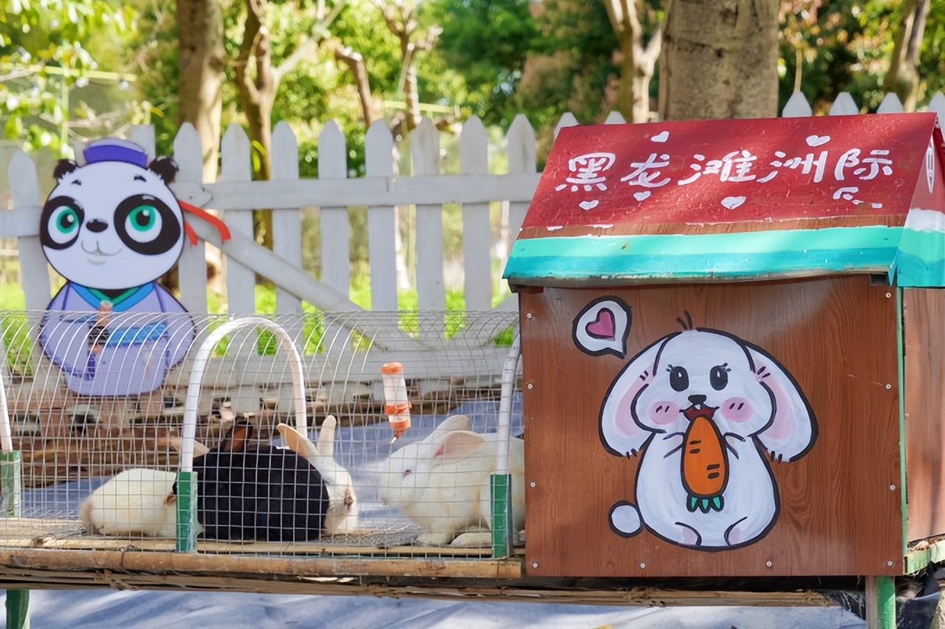 成都周边古镇一日游推荐秋冬季,成都1-2天短途旅游推荐古镇