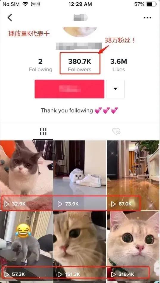 我通过海外（TikTok）全款买了房：你看不起的行业，往往很赚钱！