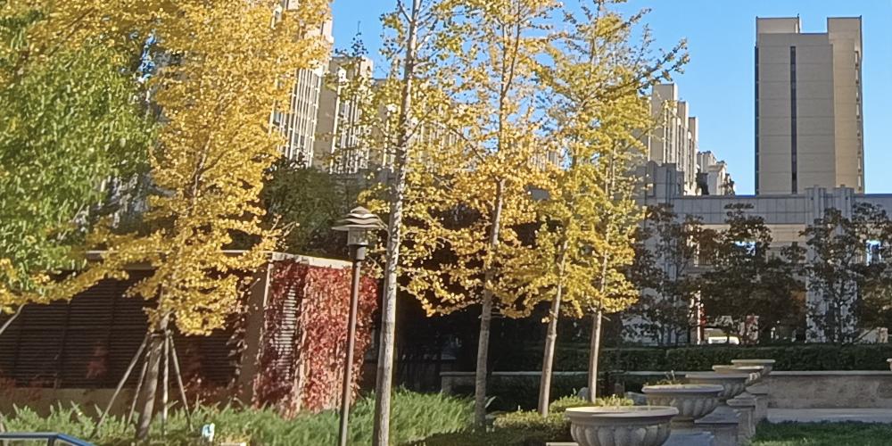 redminote11拍照效果,2亿级普通像素与5000万相机