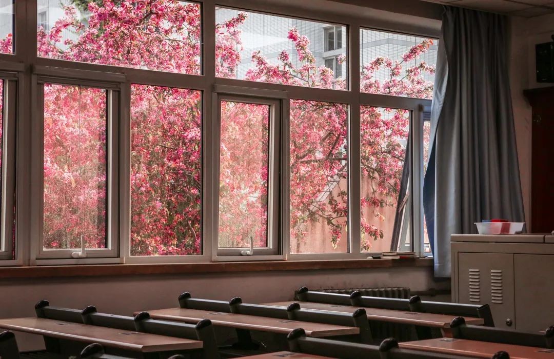 速戳!北京市2022高考分数线正式发布!北京联合大学近三年录取分数线汇总!