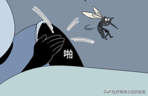 为什么蚊子只盯着你咬？有这几个特点的人，夏天要当心了！