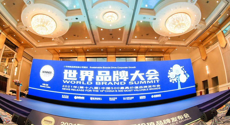 海王药业2009年全国销售冠军,海王品牌是世界500强吗