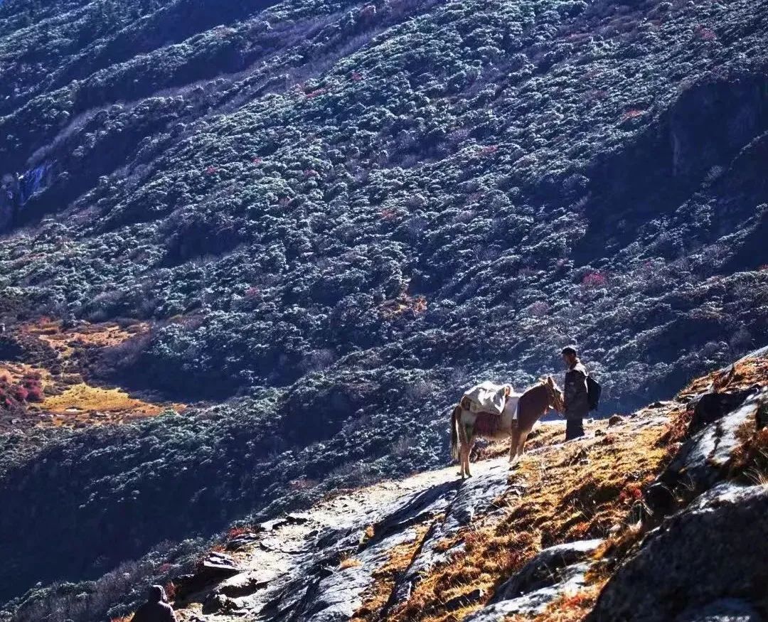 稻城亚丁解封后，又一顶级越野线路——洛亚大环线横空出世