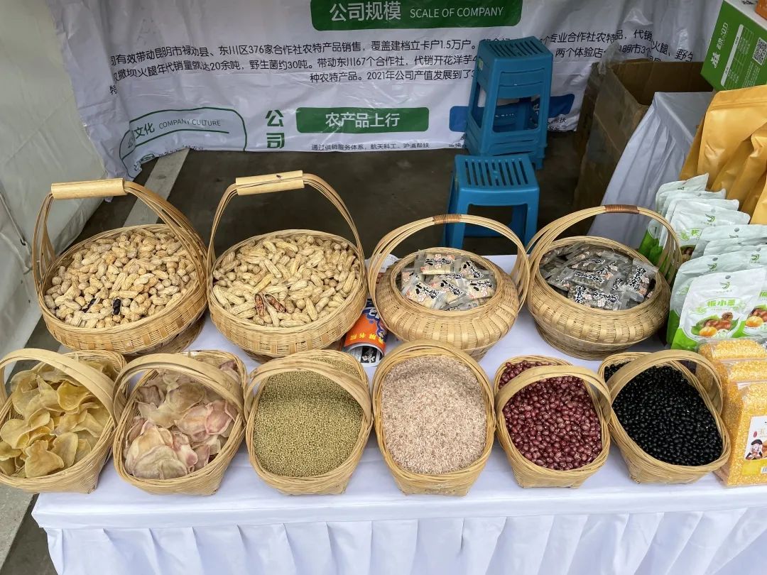 【轿子山文化旅游节】云南·禄劝2023年轿子山文化旅游节最全攻略来啦（图文版）！