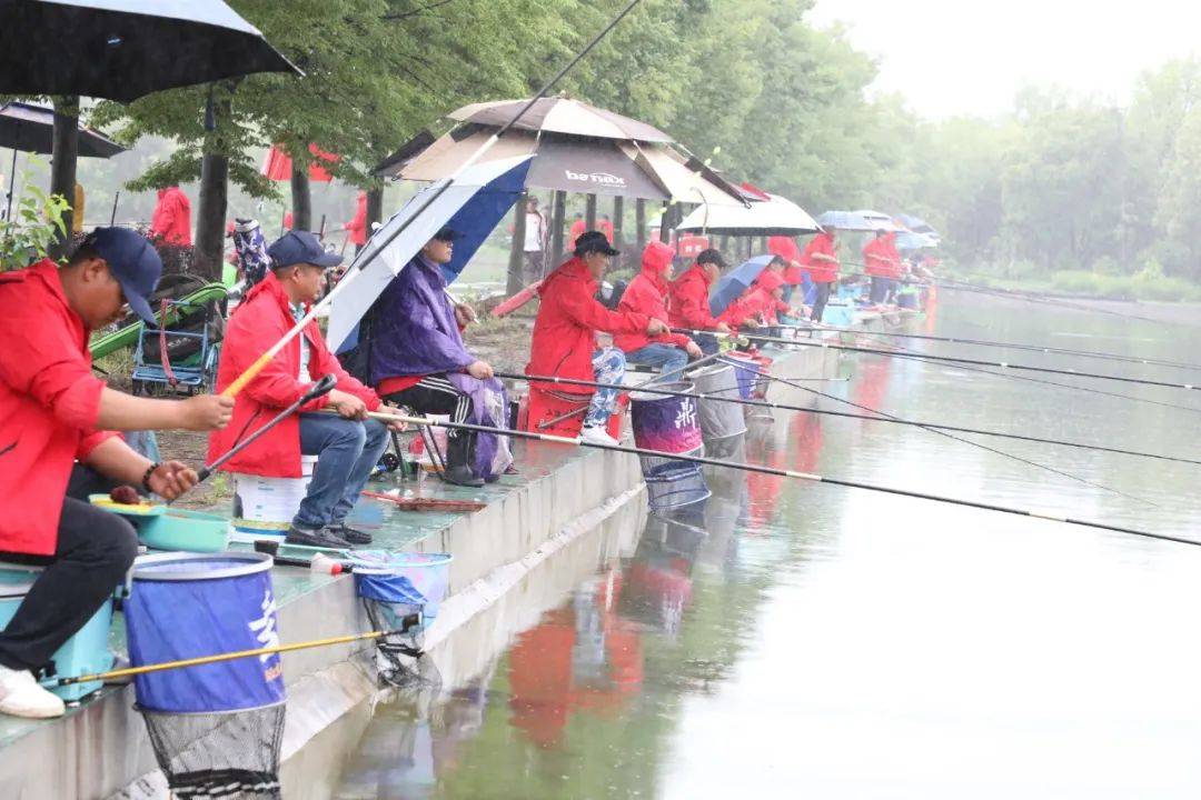 朱巧林夜钓争霸赛视频,第四届和善园杯星钓联赛总决赛