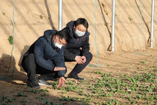 清水河农业产业强镇,清水县乡村振兴