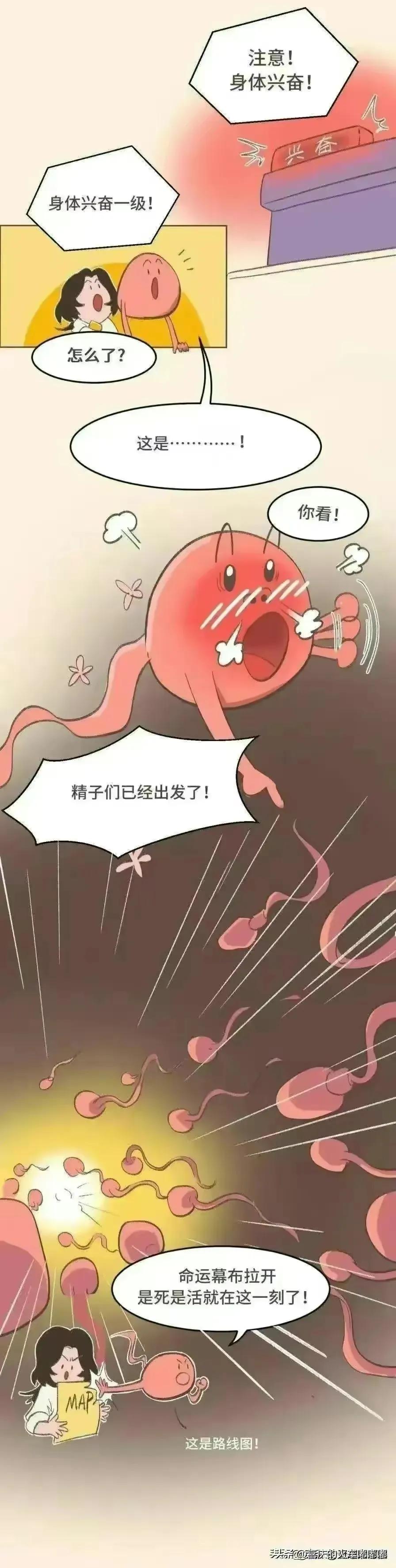 射之前戴安全套，不*射内**到底会不会怀孕？