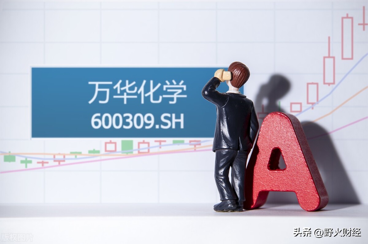 万华化学一年gdp,山东发展潜力万华化学