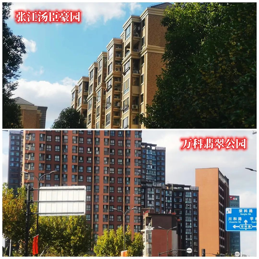 唐镇值不值得去,唐镇能买吗