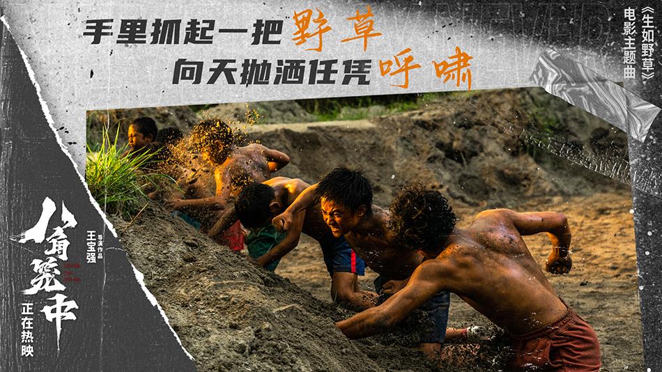 八角笼中揭露了什么,八角笼中格斗片段技术解析