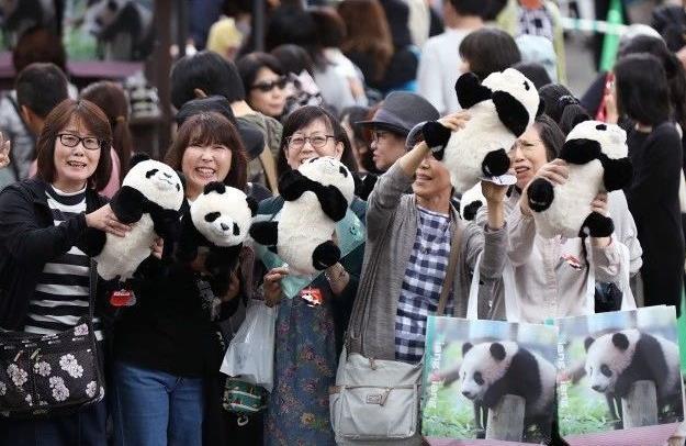 最喜爱大熊猫的前六名国家,世界上最宠大熊猫的6个国家