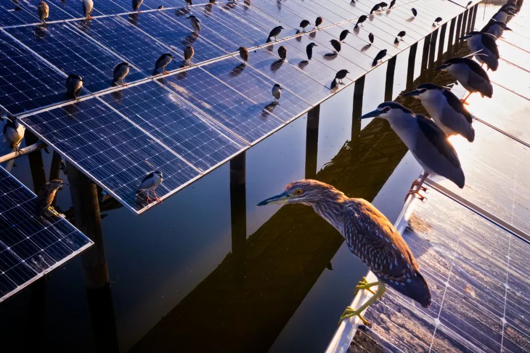 摄影师顾光辉：把爱好变成技能，摄影需要一种执着