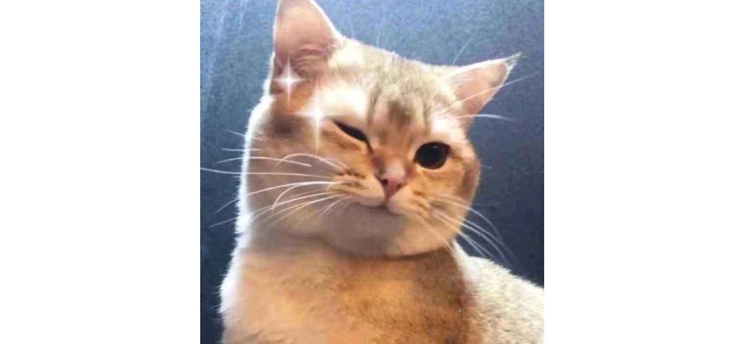 67块钱的雪糕,雪糕界便宜的七款雪糕