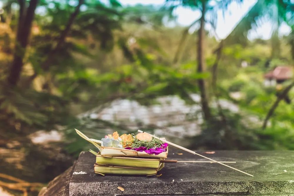 新课标要求的必读篇目,新课标知识讲解