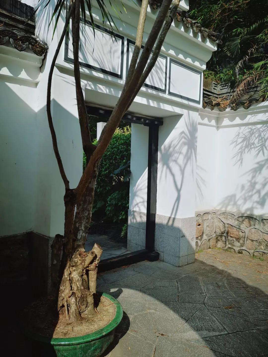 黄梅戏游园惊梦牡丹亭寻梦,寻梦牡丹亭游园惊梦