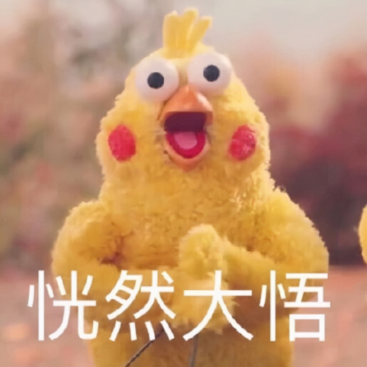 京考申论真题及答案2020,京考申论2024考试时间和科目