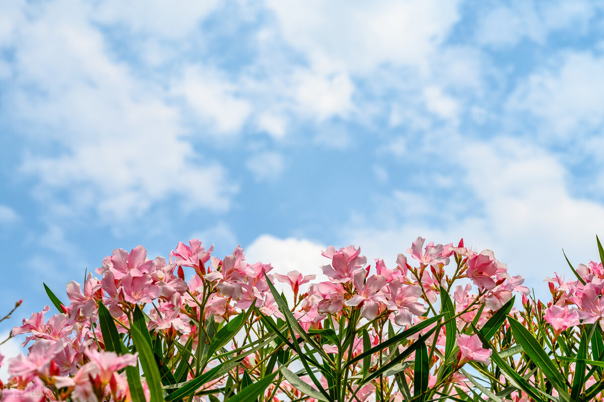 皮肤变好的习惯男生,皮肤变好的习惯