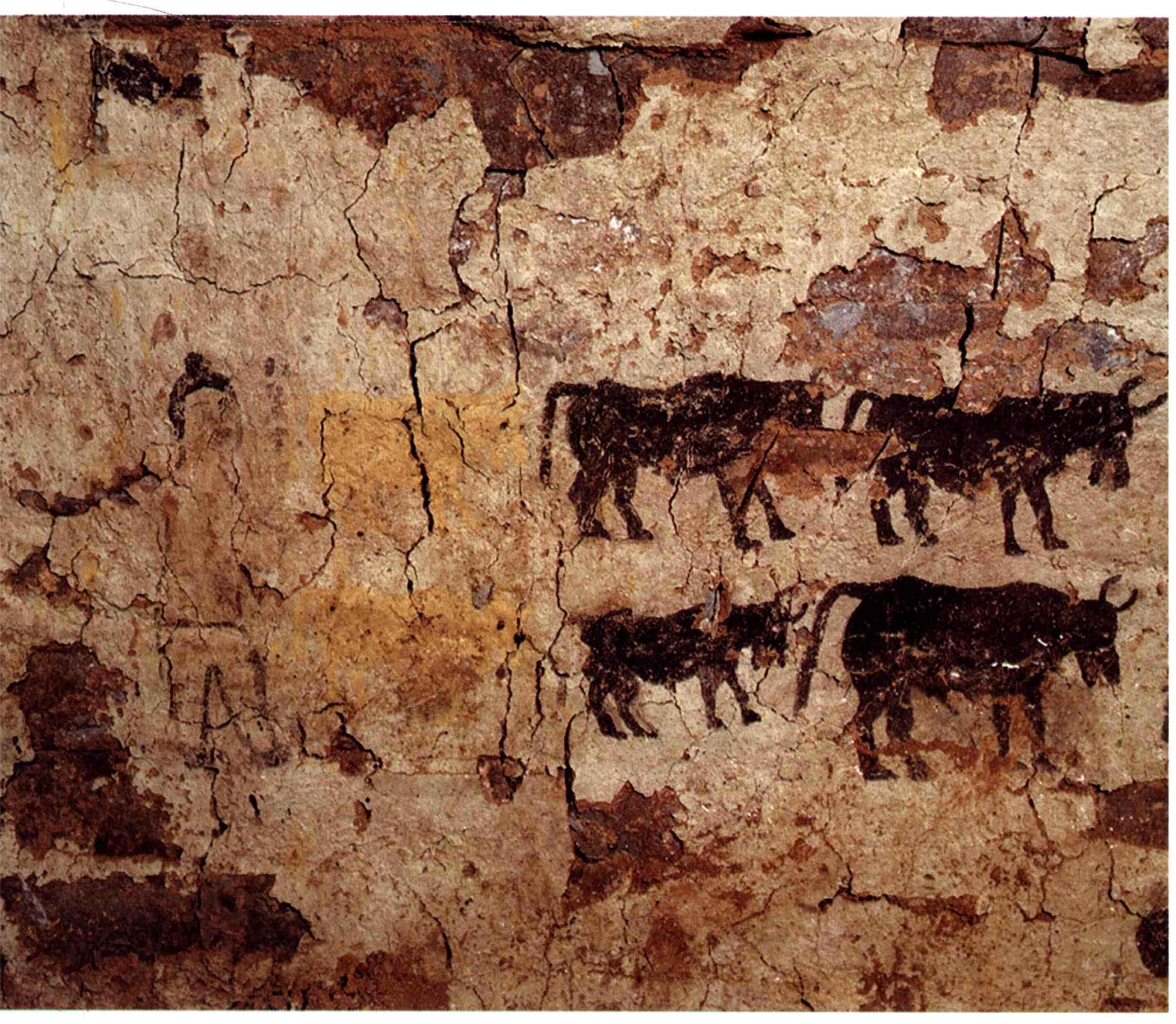 河南出土壁画图片,陕西出土古代壁画展