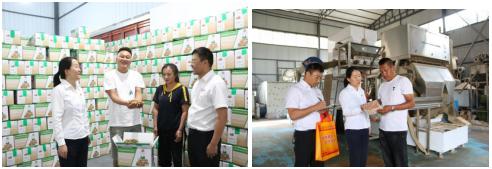 永平农商行：助力核桃海外“突围”